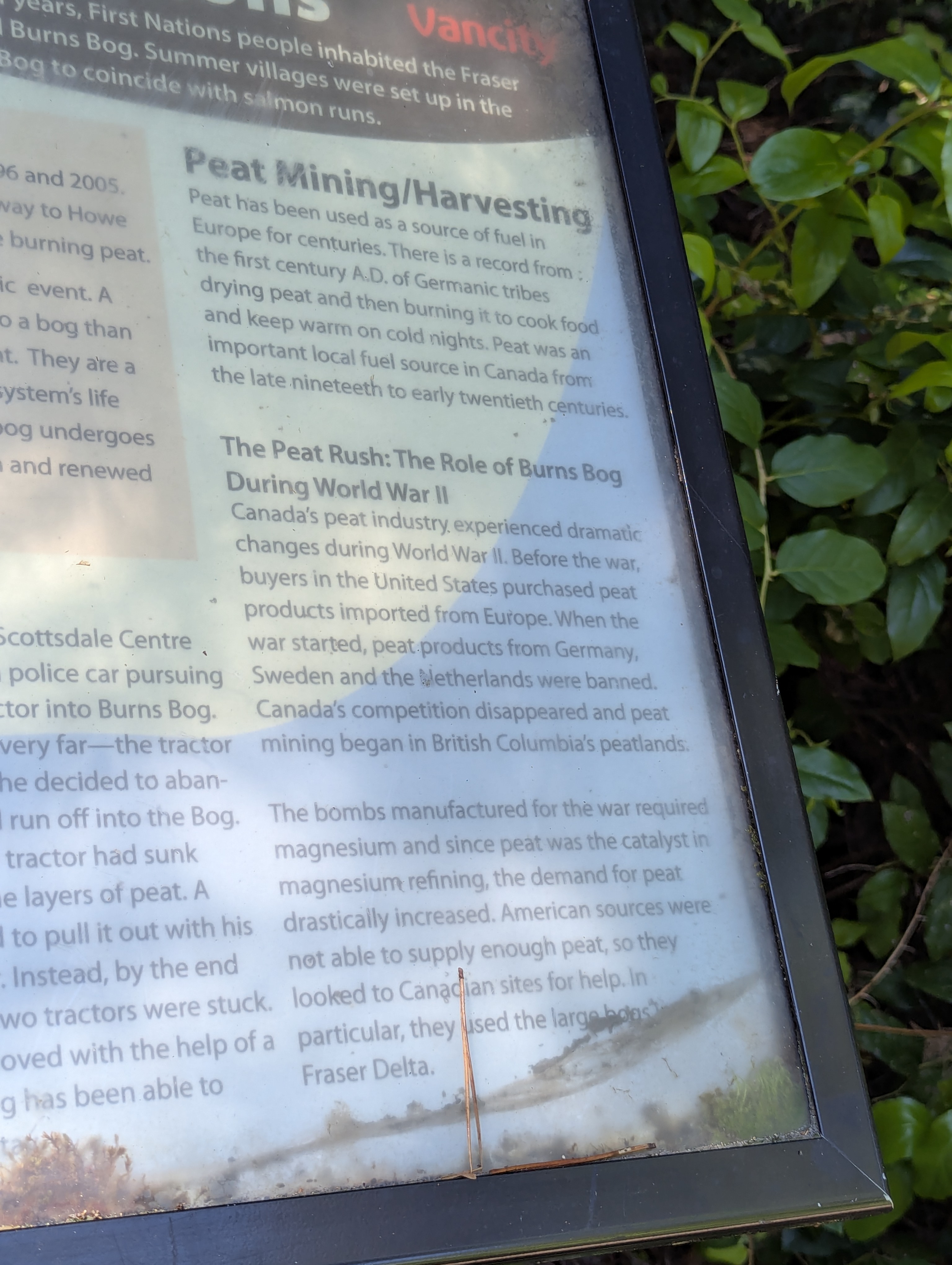 Birthday Trip to Canada, Delta, Burns Bog, Vancouver, British Columbia